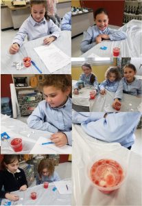 In science class, 4th grade learned about volcanos and made lava lamps.