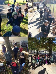 The Kindergarten classes go on a Fall nature walk, exploring the Niflaos Haborei!