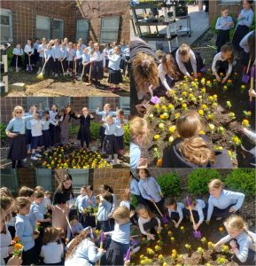 2nd grade read "A School Garden" and decided we should have one in our school, too!